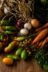 Fresh vegetables collection, harvest concept