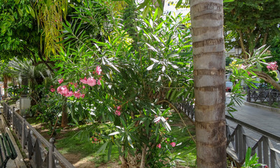 Cadiz is a very old city in the south of Spain