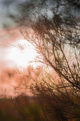 atardecer