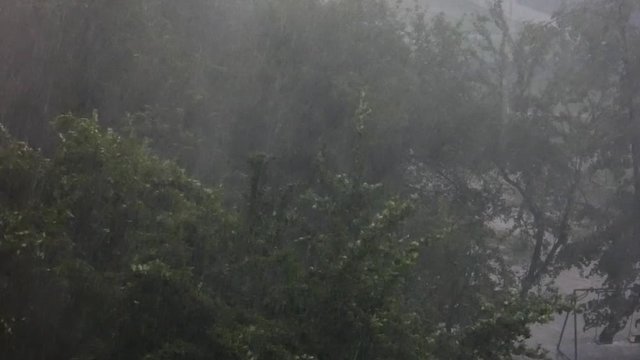 Storm in the town - trees under strong wind and rain, view from above. Lot of water drops in air. Rainy day, bad weather.