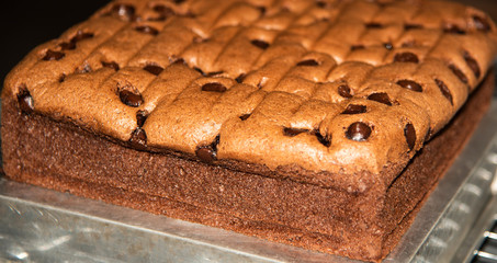 fresh chocolate baked bread