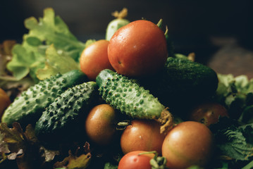 Cherry and cucumbers with green lettuce