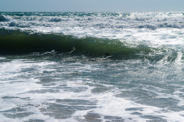 Naklejka na ściany i meble Black Sea. Summer storm. Waves lapping at the sandy beach.