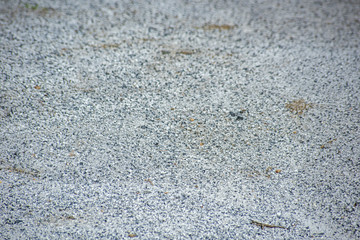 The road is covered with fine gravel