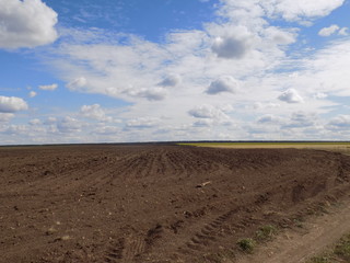 Beautiful summer landscape. Wide steppe, high blue sky with snow-white clouds. Space and freedom.