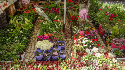 Cadiz is a very old city in the south of Spain