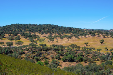 Fototapeta premium Typical landscape of Alentejo, Barrancos, Portugal