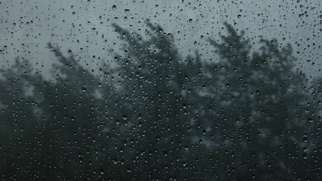 Lot of water drops on window. Storm - dark sky and blurred trees on the strong wind behind. Rainy day, wet glass.