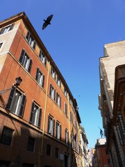 Fototapeta na wymiar detail of rome street
