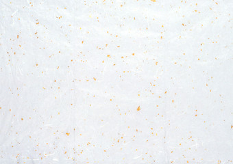 和紙・バックグラウンド