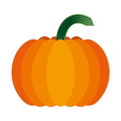 Pumpkin Isolated on White. Flat Design Style.
