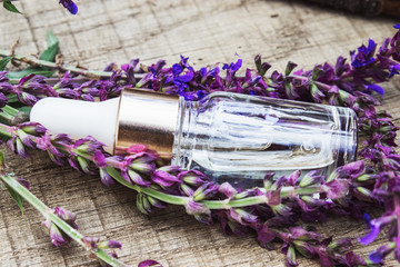Lavender essential oil in a glass bottle on a wooden table near the branches of blooming lavender. Tincture or essential oil with lavender. herbal medicine.