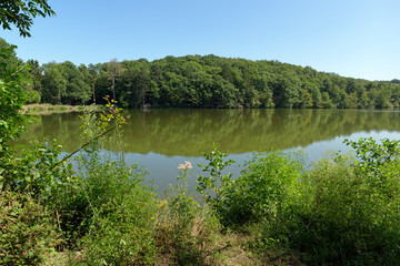 Ponds of Mauldre in Yvelines country 