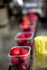 Barquettes de pêches