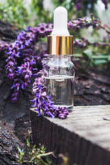 Obraz na płótnie Canvas Essential oil in a glass bottle and fresh lavender flowers on a background of nature. Tincture or essential oil with lavender. herbal medicine.