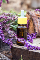 Obraz na płótnie Canvas Essential oil in a glass bottle and fresh lavender flowers on a background of nature. Tincture or essential oil with lavender. herbal medicine.
