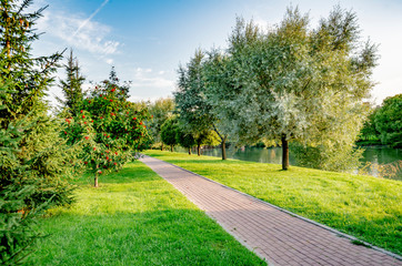 Fototapeta na wymiar path in the park by the lake on a summer day