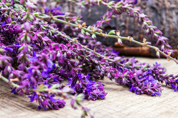 Lavender flowers lie on a stump of a felled tree. Summer floral background with lavender and tree flowers.