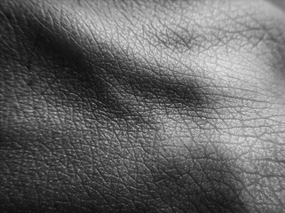 texture of hand