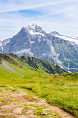 Fototapeta na wymiar Vertical photography of beautiful Swiss Alps in summer. Famous mountains Jungfrau, Eiger and Monch in the background. Hiking path, trail. Alpine landscape. Outdoor. Switzerland landscapes
