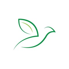 Bird wing Dove Logo