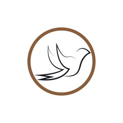 Bird wing Dove Logo