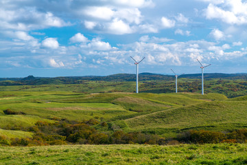 Windmill farm for green & clean energy concept to generate electricity without polution