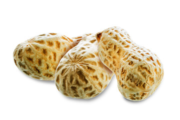Peanut on a white isolated background