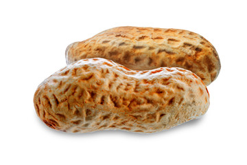 Peanut on a white isolated background