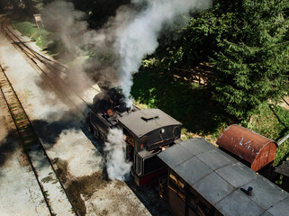 Wood-burning locomotive of Mocanita