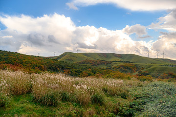 Windmill farm for green & clean energy concept to generate electricity without polution