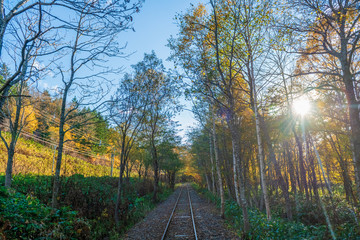 Scenic route along old railway in Hokkaido during autumn season