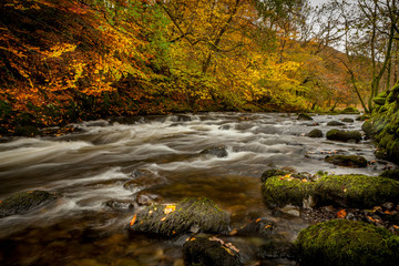 Lake District in Autumn with tree foliage in autumnal colour and the river Brathay  