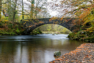Clappersgate Bridge in the Lake District National Park at Autumn with gold & brown leaves of the ground and tree foliage turning yellow. 