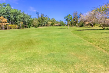 golf course in park