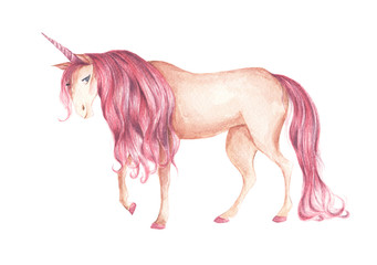 Obraz na płótnie Canvas Beautiful unicorn with pink colored hairstyle. Isolated on white background. Hand drawn fantasy art. Cute fantasy animal. Watercolor illustration.