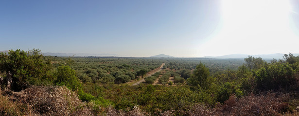 Panoramic of the Valdelinares mountains in summer