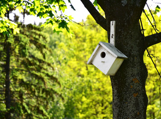 White wooden birdhouse on the tree. Horizontal photo
