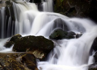 waterfall in the forest