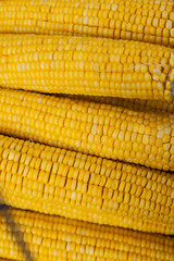 Many ears of yellow corn cooked on a large grill