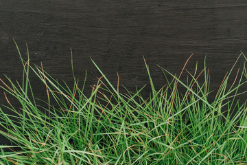 black wooden background with green grass