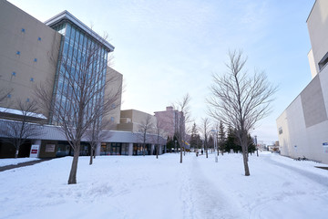 winter in japan