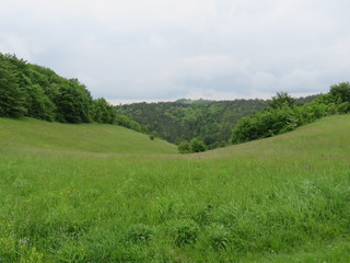 Green pasture on slight slope