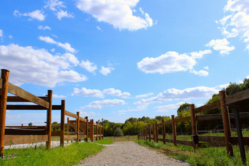 Blurred image of beautiful rural landscape. Beautiful nature background. Paddocks for horses . Stable, forest, field.