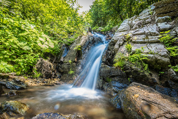 Fototapeta premium Waterfall on forest creek