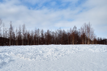 hokkaido Japan