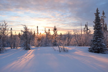 Fototapeta premium winter landscape with road and blue sky