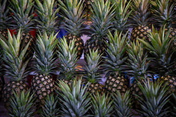 Obraz premium heap of pineapple fruits in market .
