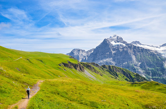 Hiker in the Swiss Alps walking with hiking poles. Mountains Jungfrau, Eiger and Monch in the background. Nordic walking. Outdoor activities. Alpine landscape, hiking path. Trail. Switzerland summer