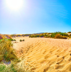 Valdevaqueros Dune. El Estrecho Natural Park. Tarifa, Cadiz. Andalusia, Spain.